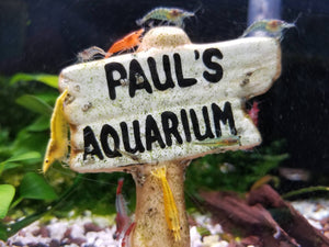 Paul's Aquarium